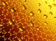 hydrocarbons